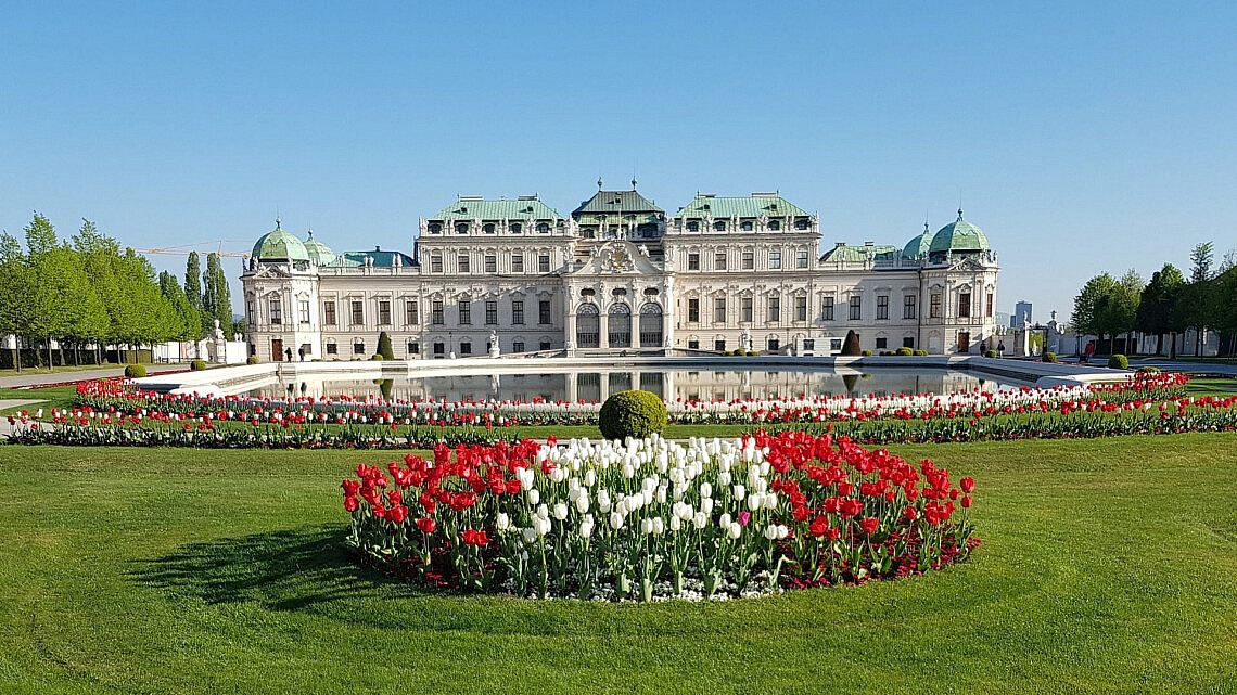 וינה | צילום: pexels וינה | צילום: pexels