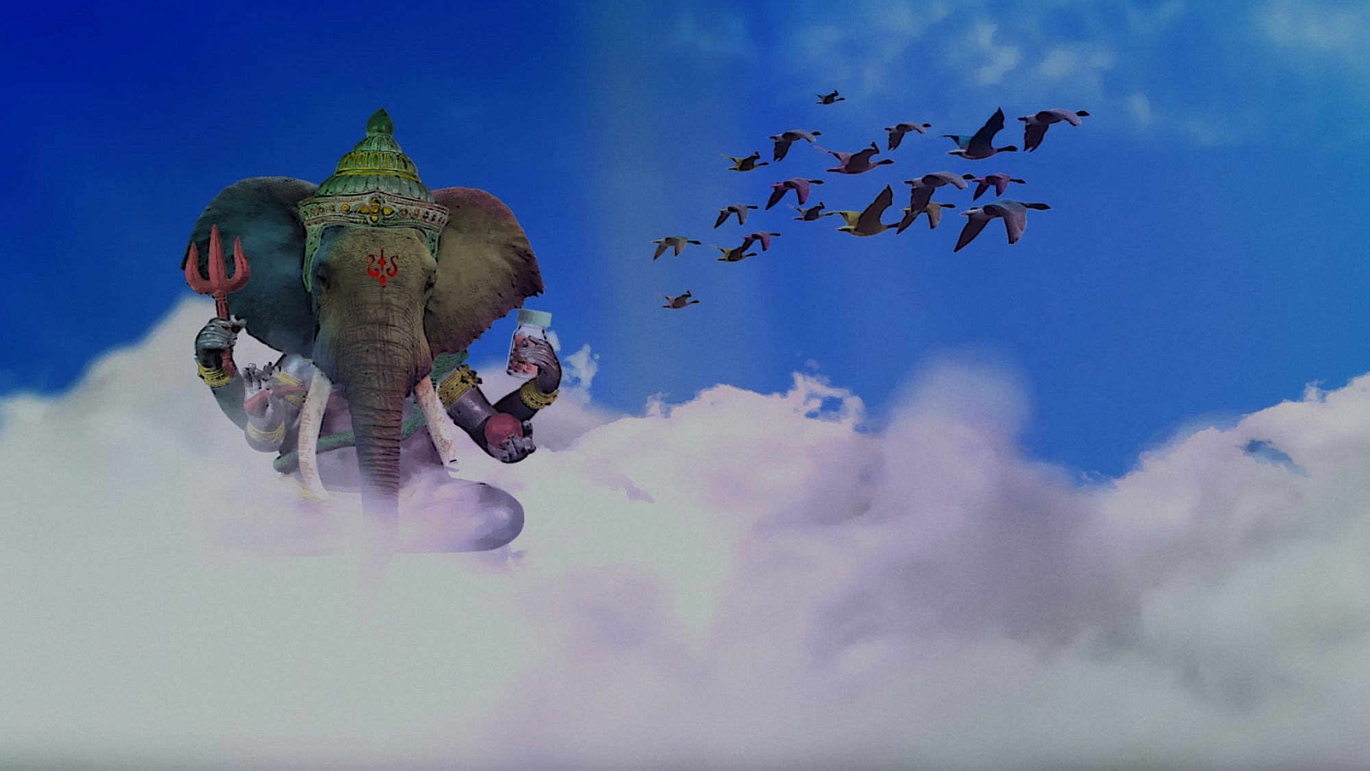 אל תחשבו על פילים ורודים. מתוך הסרט "מלך החגיגת". (צילום: באדיבות דרומהפקות)