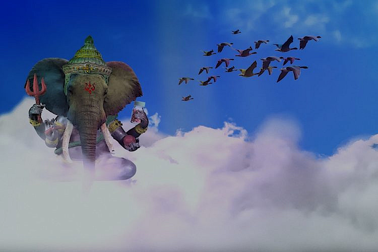 אל תחשבו על פילים ורודים. מתוך הסרט "מלך החגיגת". (צילום: באדיבות דרומהפקות)