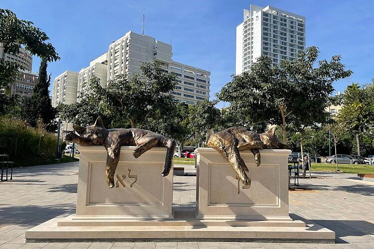 יעל פרנק, שדרות שאול המלך. צילום: רעות ברנע