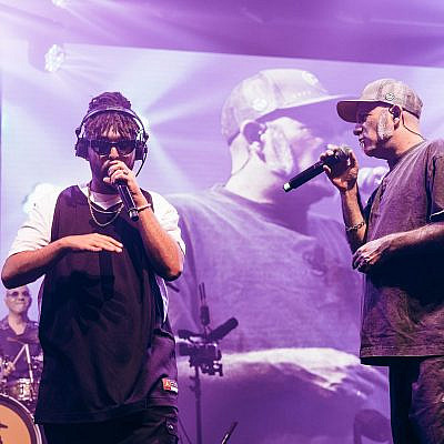 הדג נחש ופלד בהאנגר 11. צילום: אורית פניני