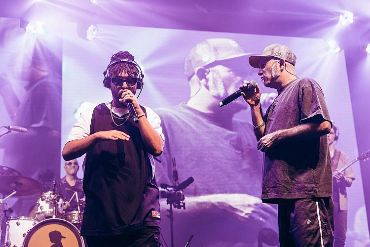 הדג נחש ופלד בהאנגר 11. צילום: אורית פניני