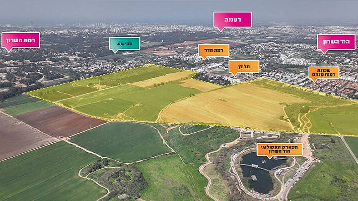 צילום: א.ב-מוראנו צילום: א.ב-מוראנו