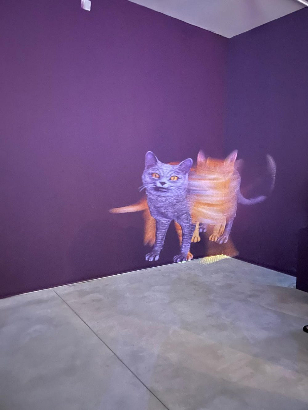 מירי סגל, מוזיאון רמת גן. צילום: רעות ברנע