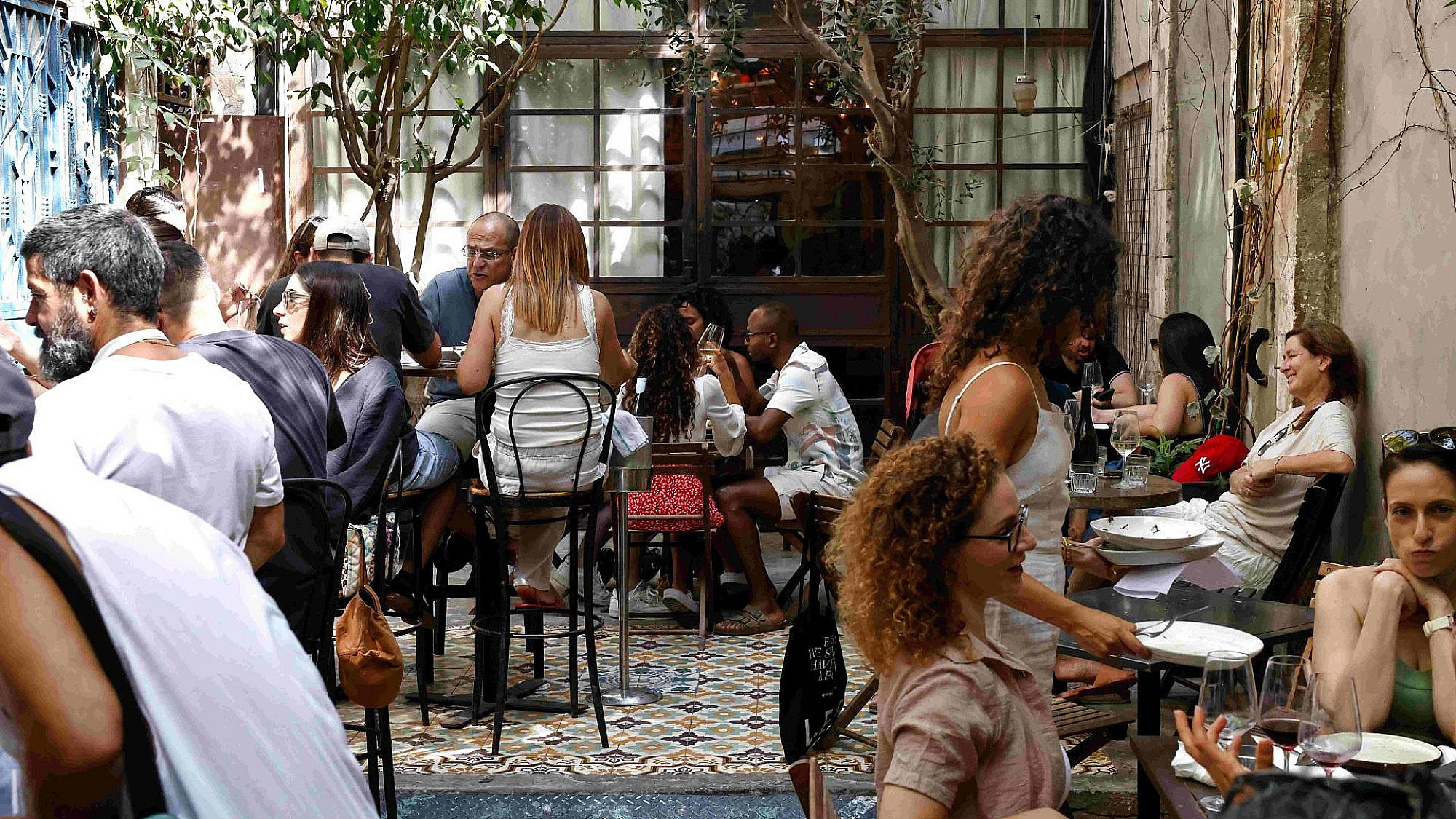 הגפן (צילום zeriker pro)