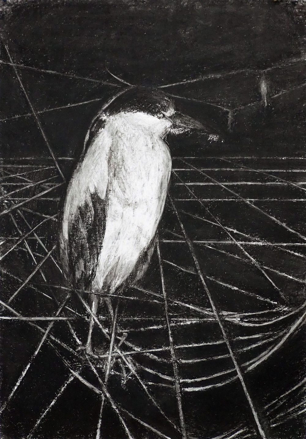 כליל ווקסלר, גלריה הקוביה כליל ווקסלר, גלריה הקוביה