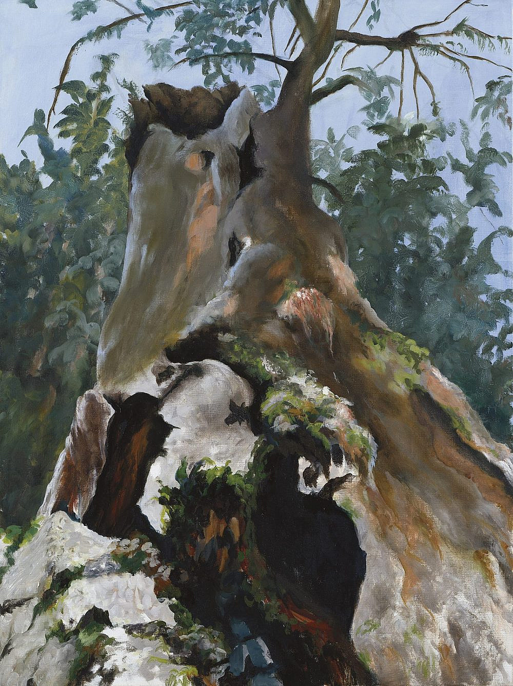 פאני הורוביץ, בית האמנים ראשון לציון. צילום: אבי אמסלם