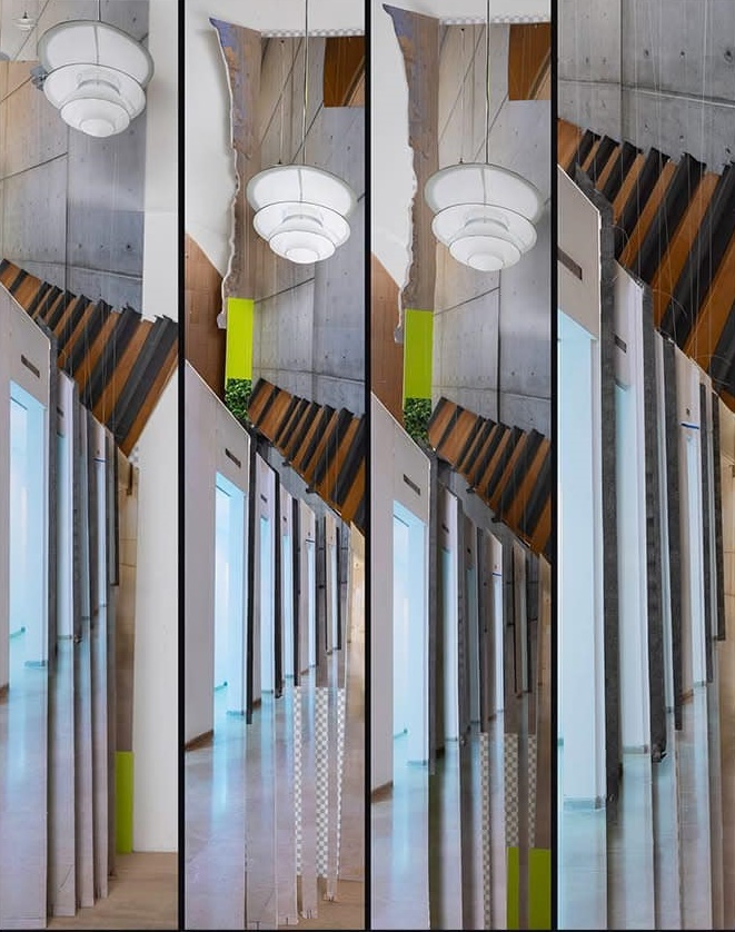 שירלי וגנר וטל ניסים, האוניברסיטה הפתוחה רעננה שירלי וגנר וטל ניסים, האוניברסיטה הפתוחה רעננה