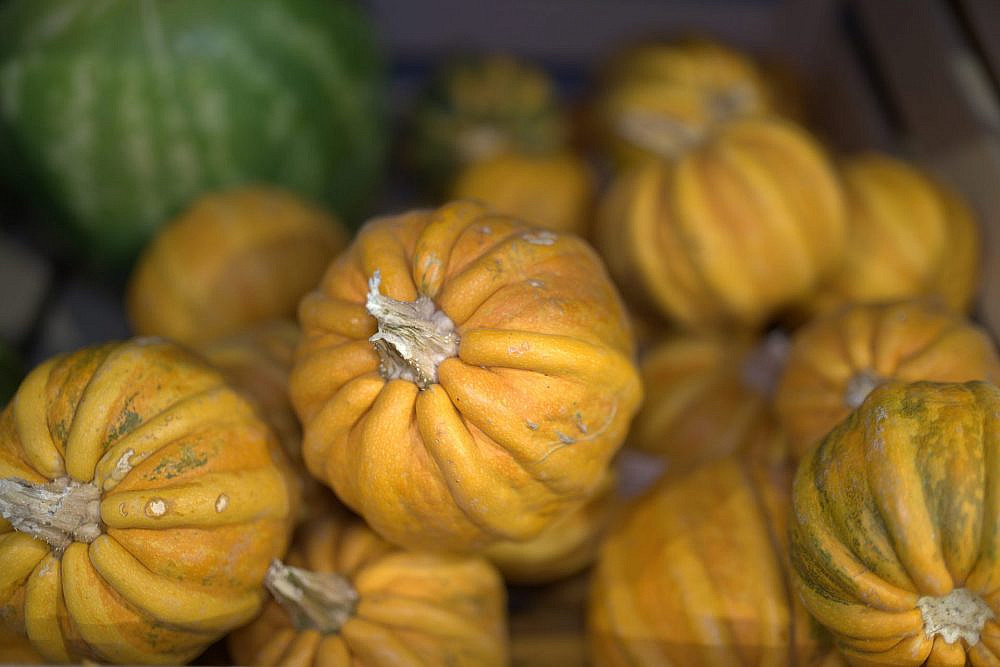 הירקות של ORTO. צילום: יח"צ הירקות של ORTO. צילום: יח"צ