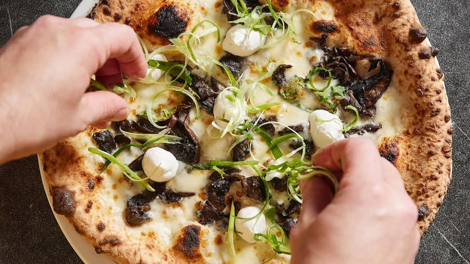 פיצה לא כשרה לא כשרה לפסח. לה טיגרה (צילום: אינסטגרם /@la.tigre.tlv) פיצה לא כשרה לא כשרה לפסח. לה טיגרה (צילום: אינסטגרם /@la.tigre.tlv)