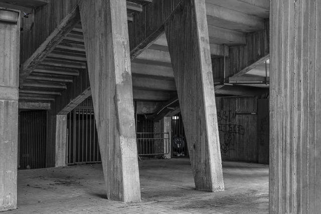 אלי מסר, יד לבנים רעננה