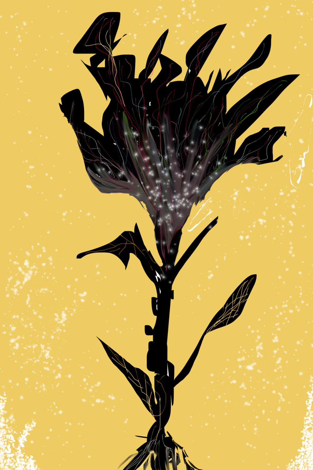 עוזי בטיש, מוזיאון יפו העתיקה