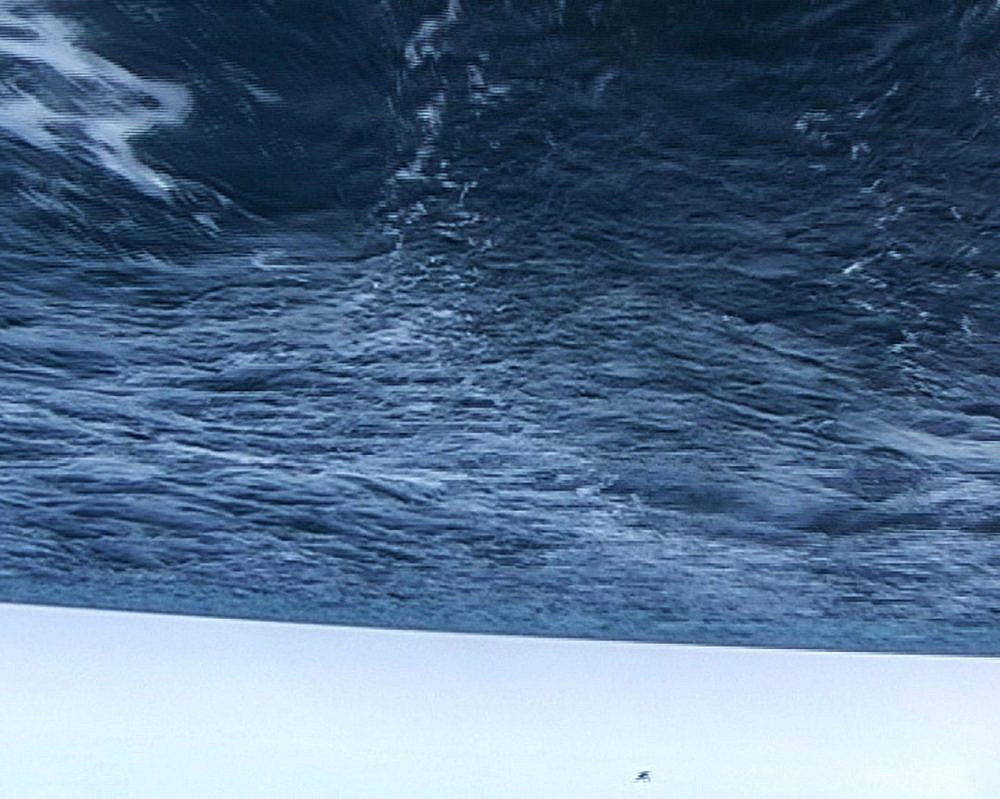 הדס סט, מוזיאון תל אביב לאמנות