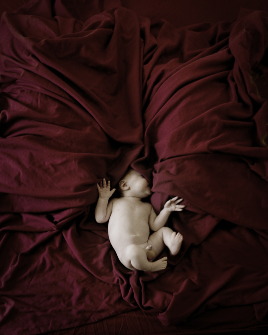 אנג'ליקה שר, בית הגפן