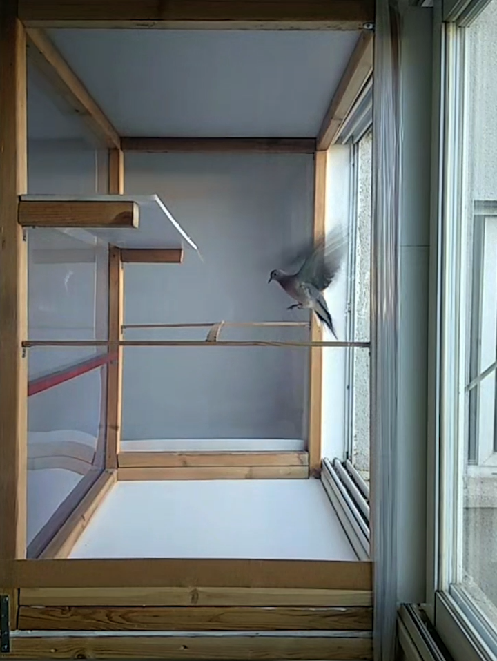 דרור היבש, התואר השני באמנות בבצלאל