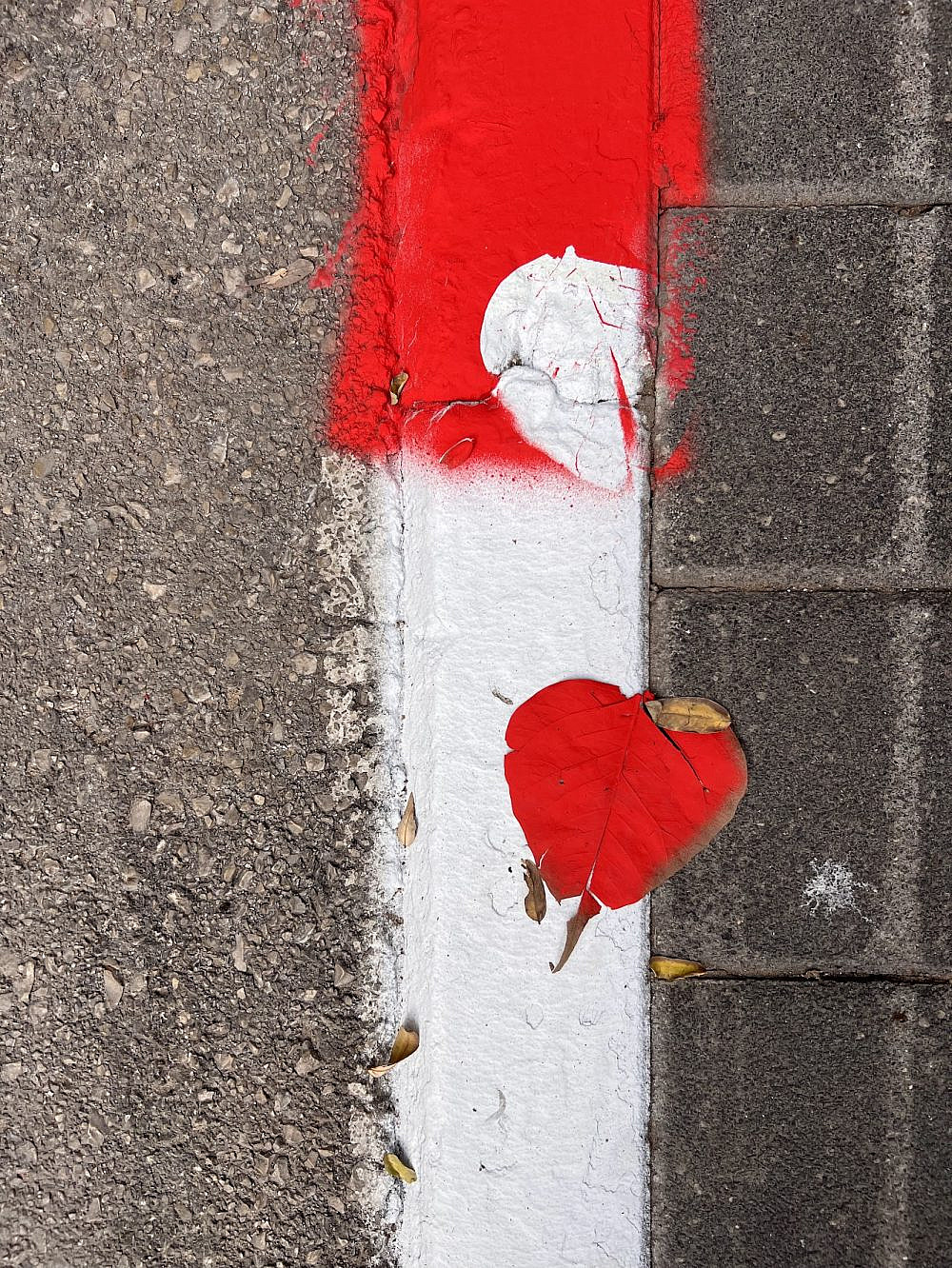 נדב ברקן, מוזיאון אגם