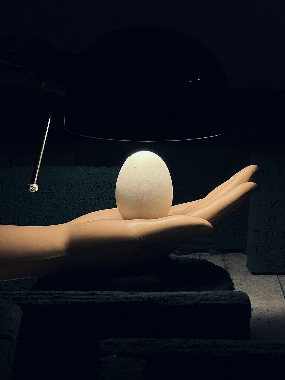 נועה יפה, המפעל