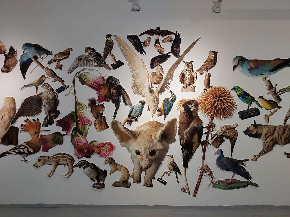 נווה היכל, מכללת אורנים