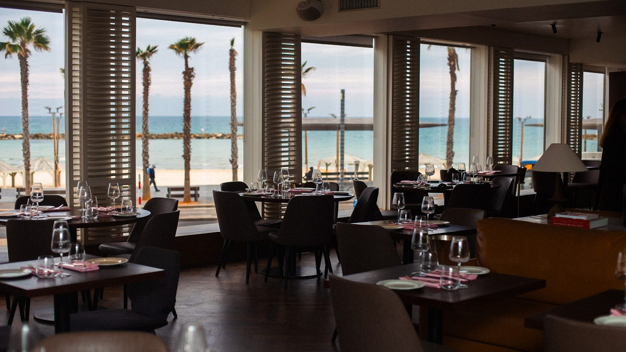 כזה נוף אין בירושלים. גריל רום (צילום ויקה פלסקוב)