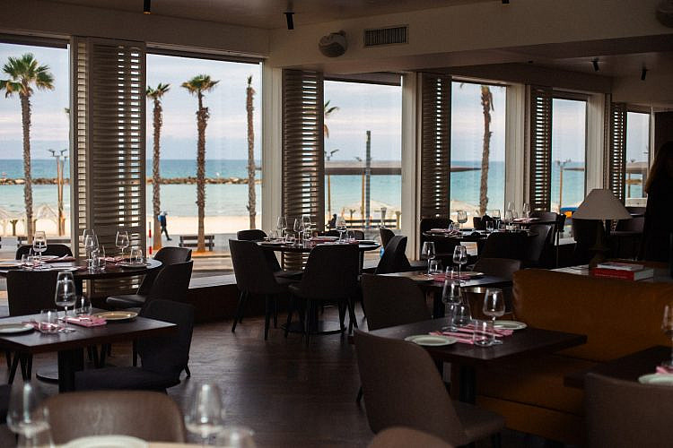 כזה נוף אין בירושלים. גריל רום (צילום ויקה פלסקוב)