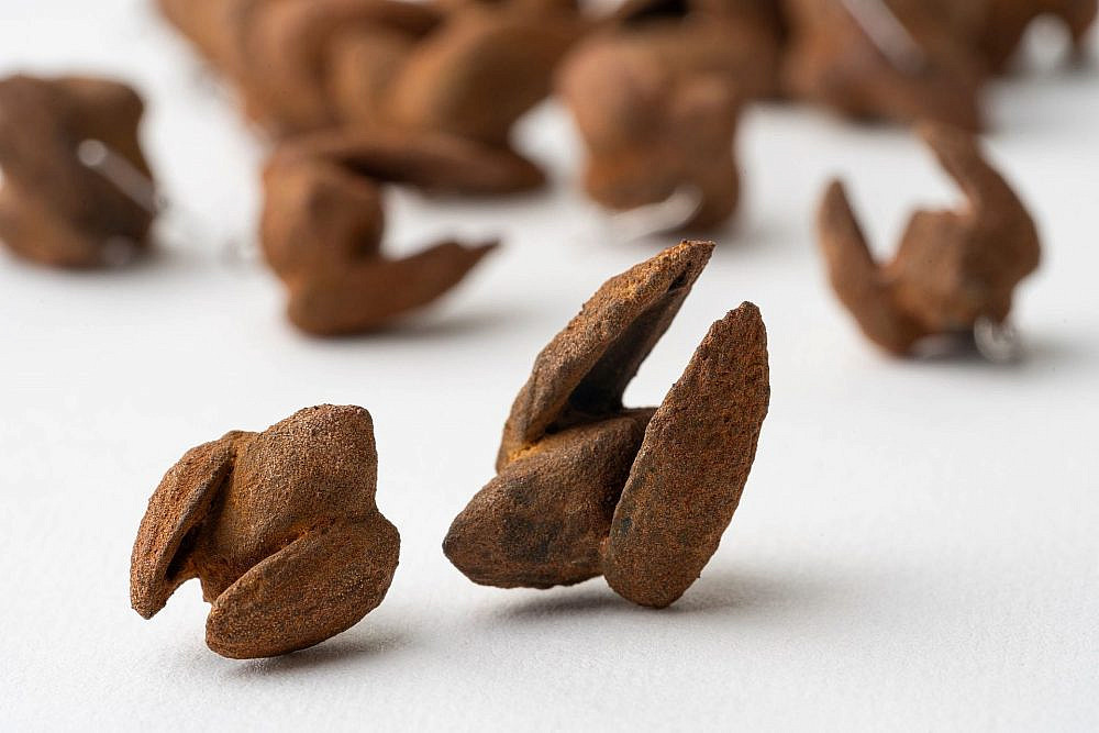 עינת לידר, מוזיאון על התפר