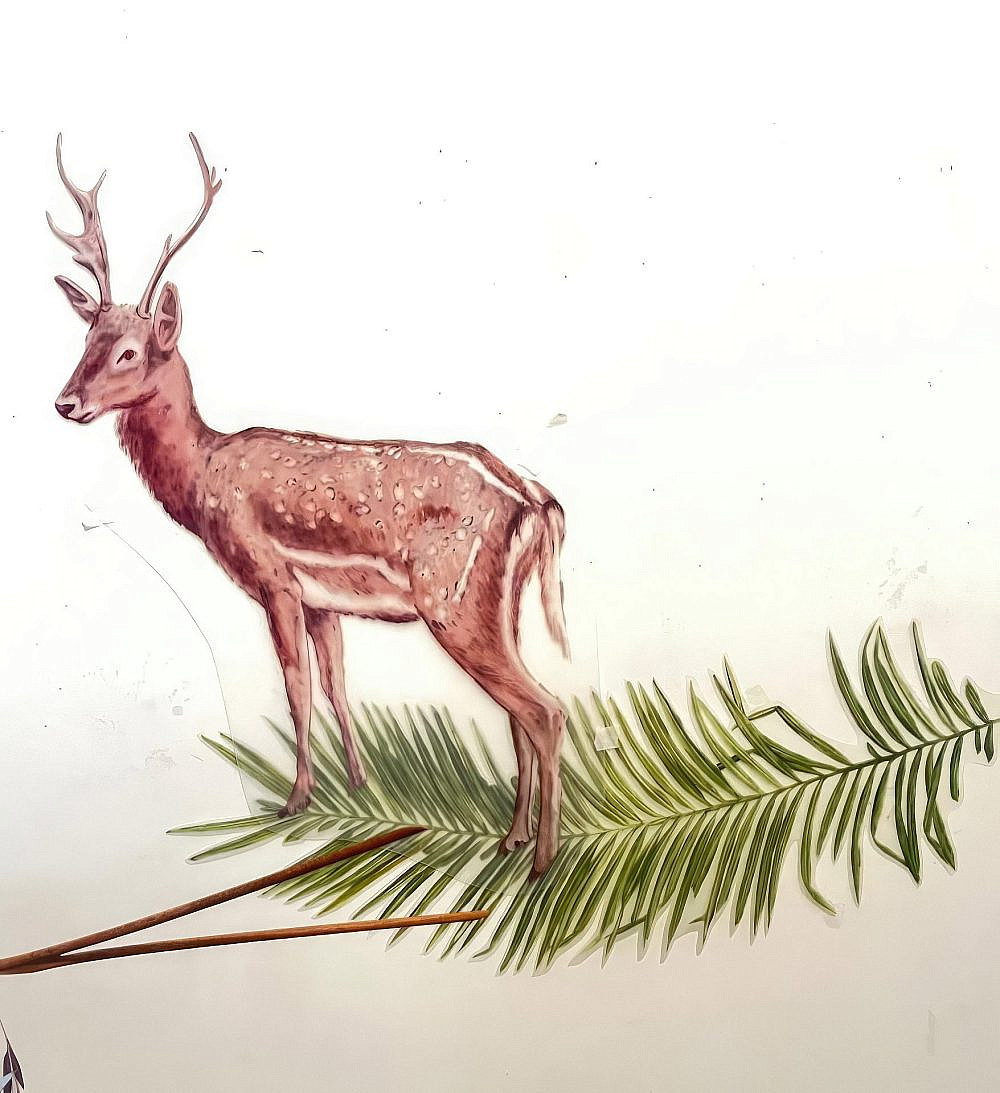 איילת כרמי, גלריה מנשר איילת כרמי, גלריה מנשר