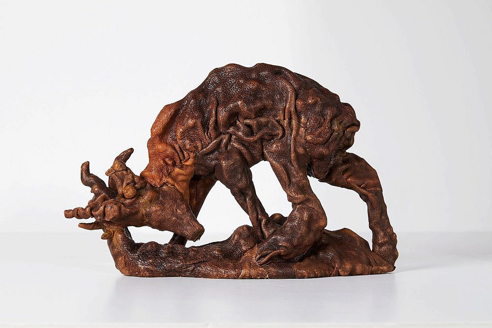 רונן רז, גלריה אלפרד. צילום: דדי אליאס