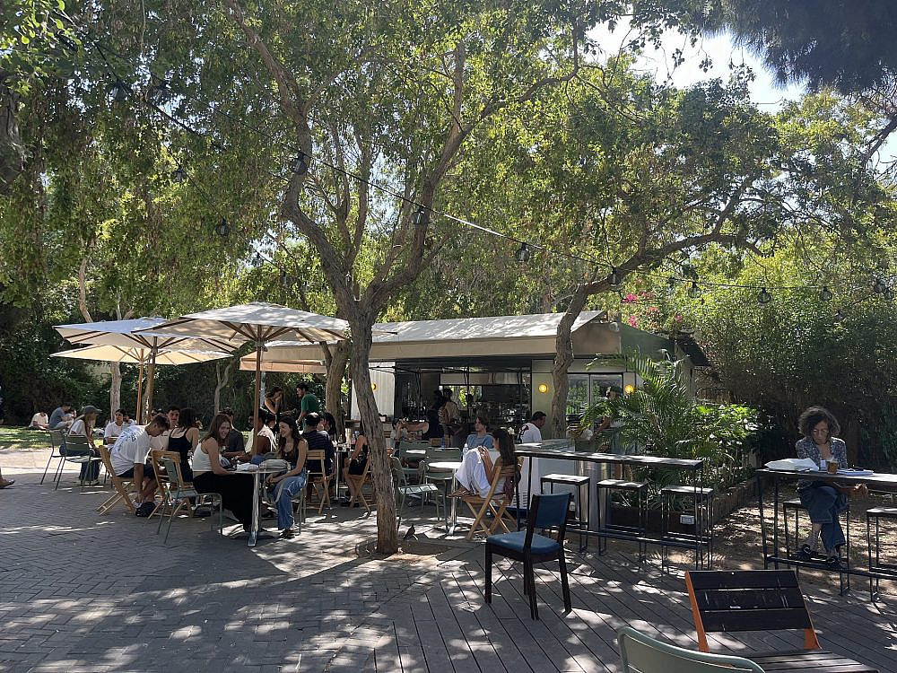 תיכף הגיעה. אוטוטו. צילום: יעל שטוקמן