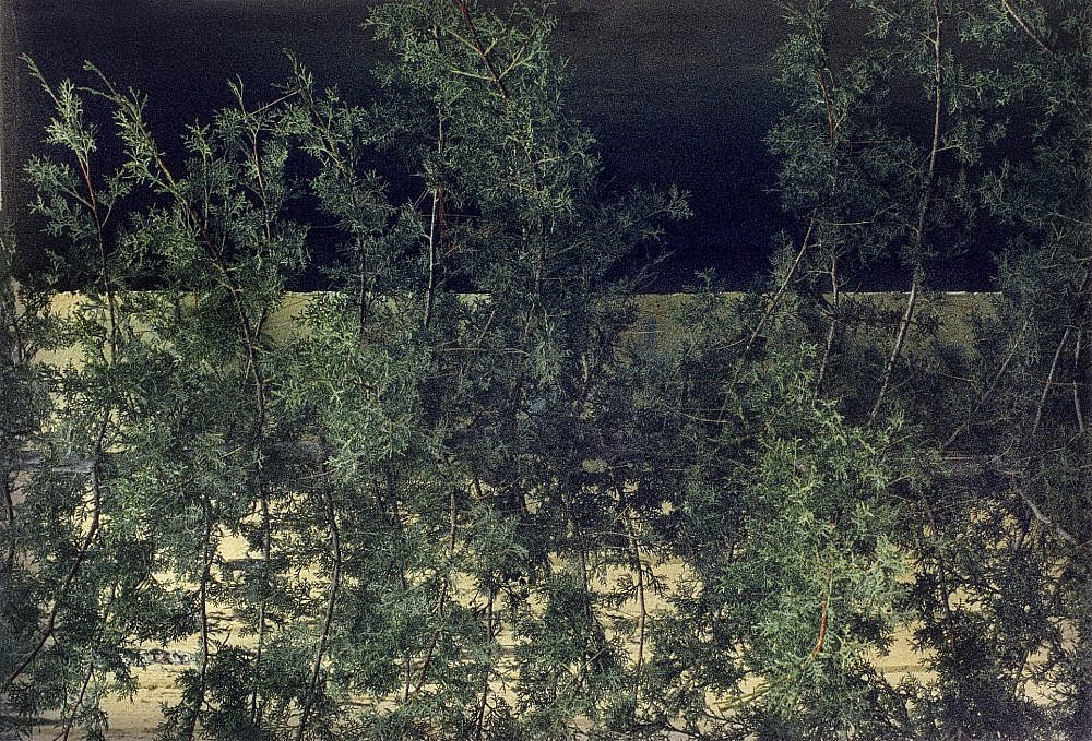 זהר אלעזר, גלריה אינדי