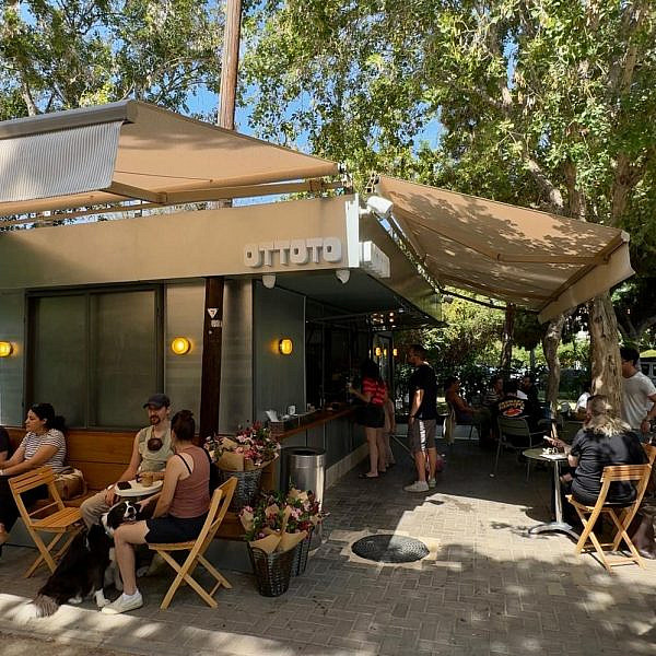 תיכף זה כאן, השבת החילונית שהזמנתם. אוטוטו. צילום: יעל שטוקמן