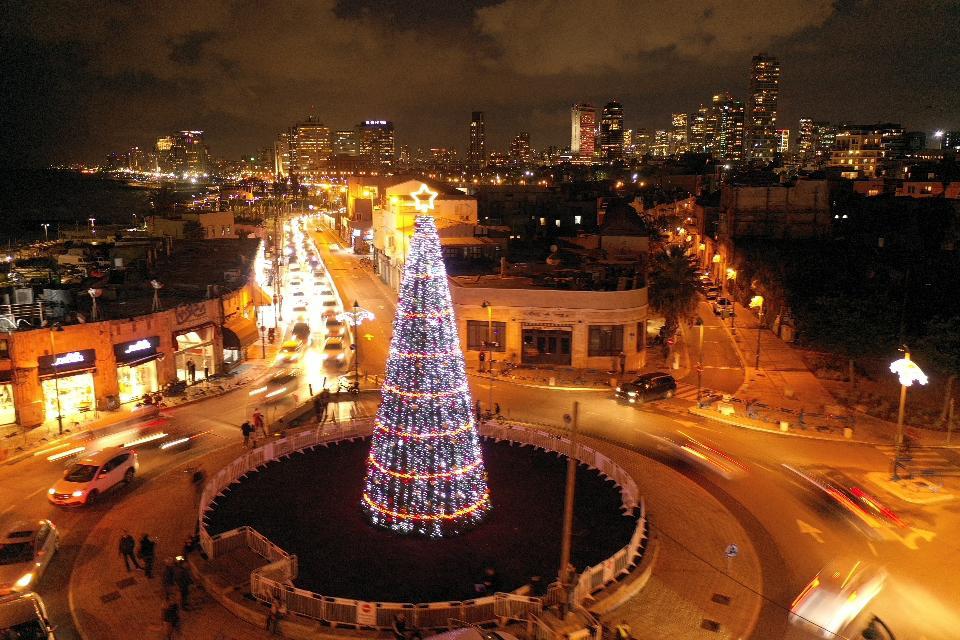 אף אחד לא עוזב את יפו, גם לא התרנגולים אף אחד לא עוזב את יפו, גם לא התרנגולים
