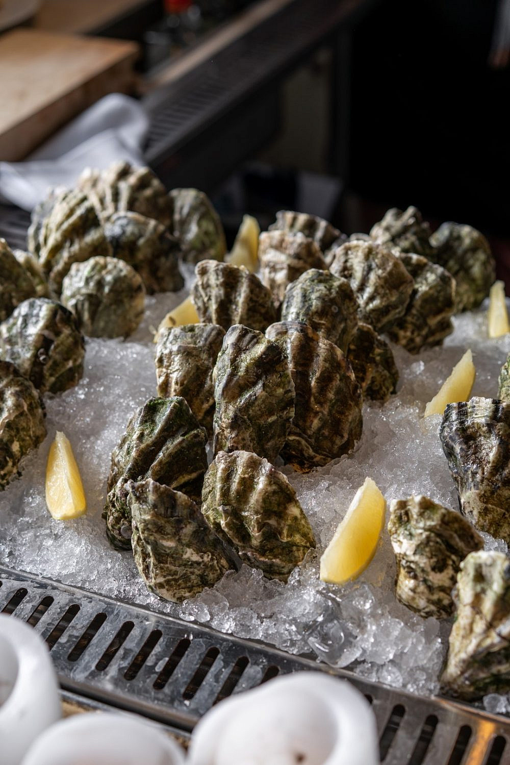 דבר אלי בפנינים אהובי. אויסטר קלאב (צילום: עוז אוחיון)