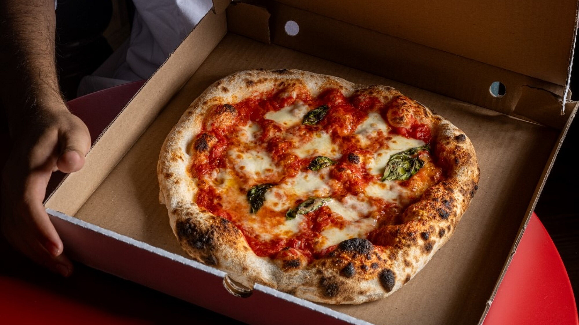 פיצה זוט - Zutt. (צילום: אסף קרלה) פיצה זוט - Zutt. (צילום: אסף קרלה)