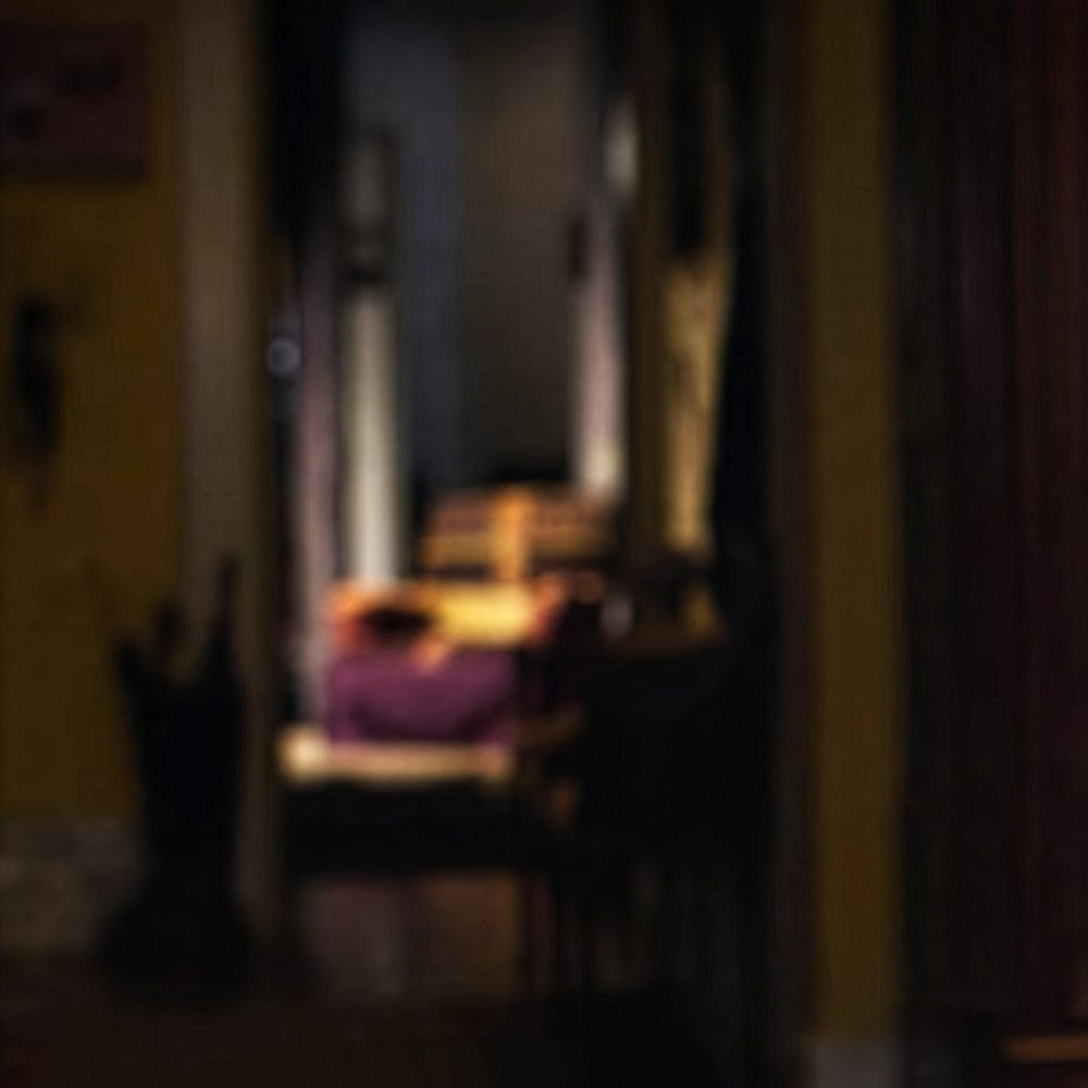 מישל מדנבליק, גלריה נולובז