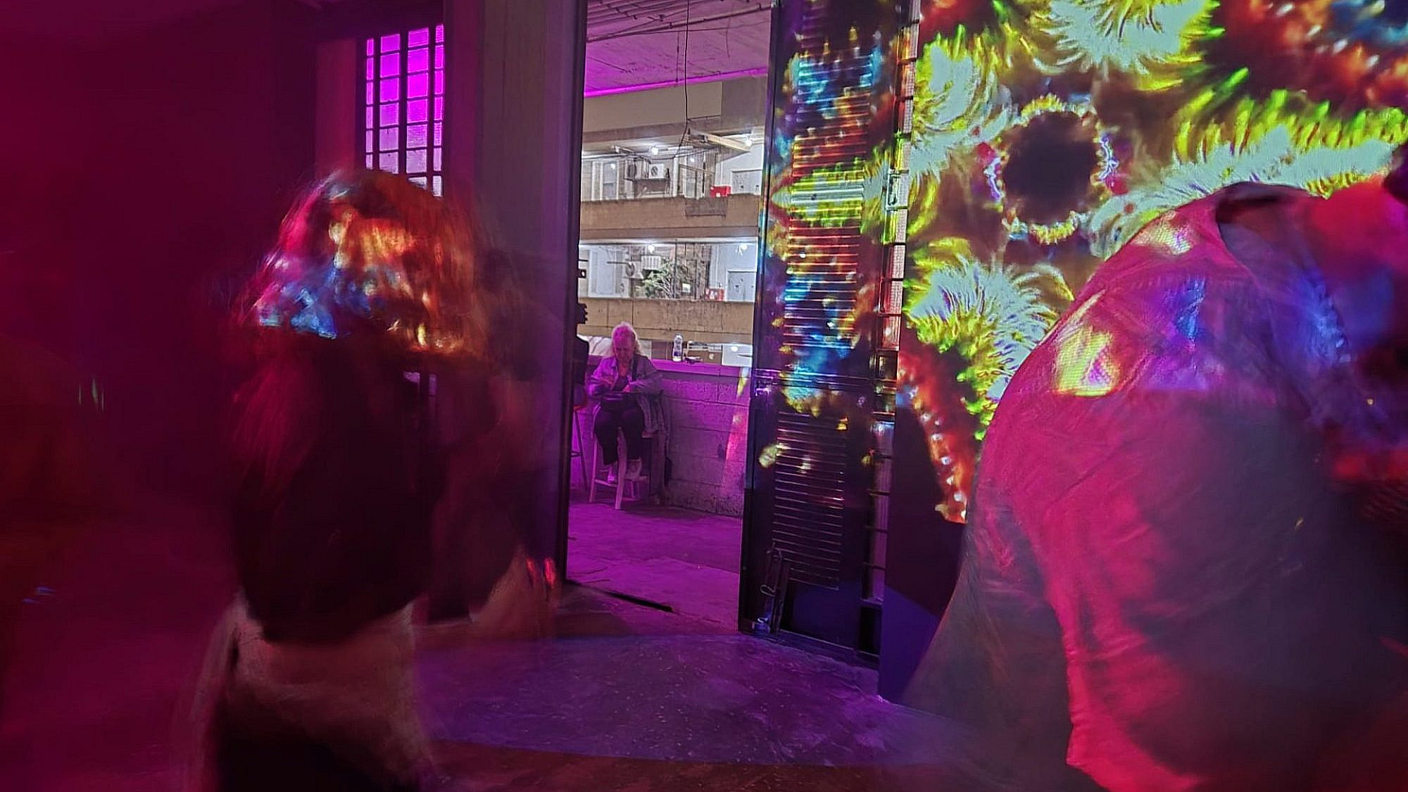 פומא (צילום: עינב מסלטון)