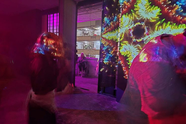 פומא (צילום: עינב מסלטון)