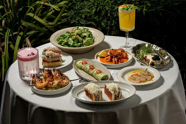 איך שאנחנו אוהבים כשזה משתלם. שה ויוי (צילום אלון ולנסי)