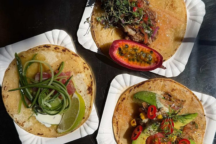 אף פעם אין דבר כזה יותר מדי טאקו. טאקו דה לוליטה. (צילום: דניאלה אבוהב)