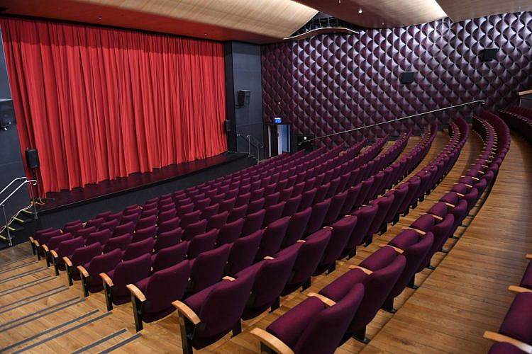 אולם שמגיע לו קולנוע איכותי. אודיטוריום מרכז אניס (צילום: גיא יחיאלי)