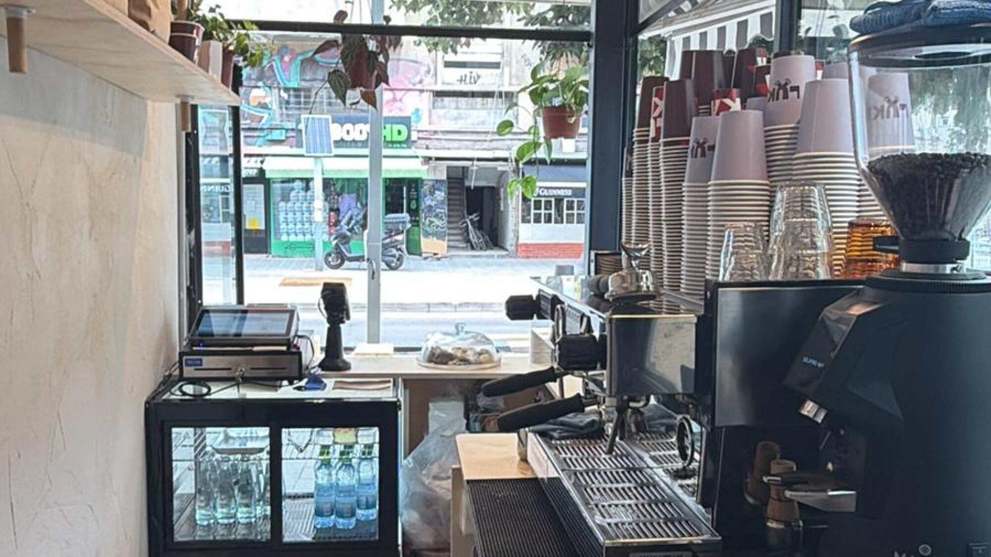 לוקה (צילום גל אייזנשטיין)