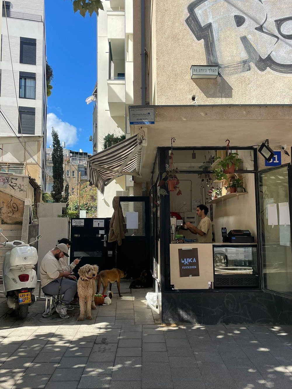 לוקה (צילום: גל אייזנשטיין)