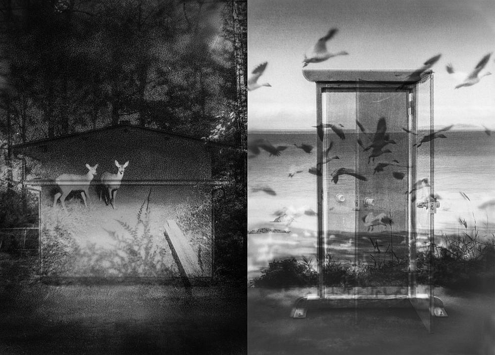 הדר מיץ, גלריה קופסה שחורה