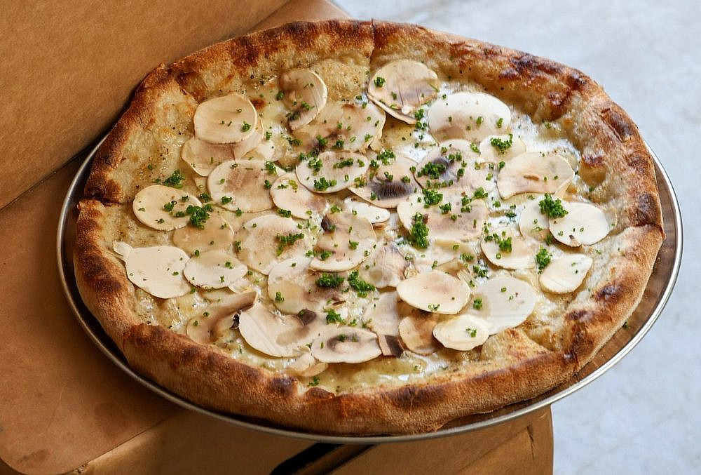 קוטה Cotta. צילום: רוי גיא