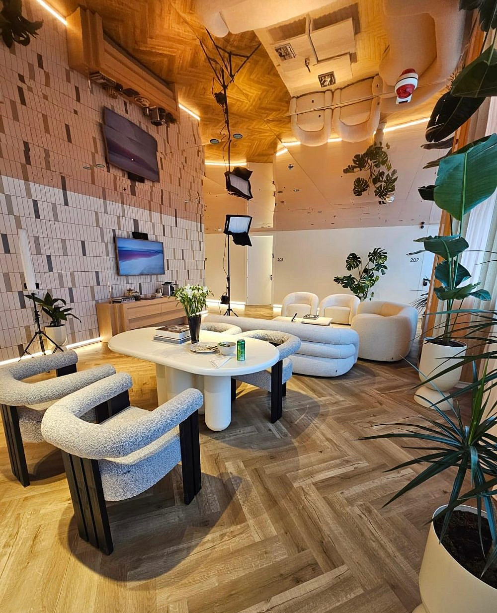 צילום זוהר שטרית