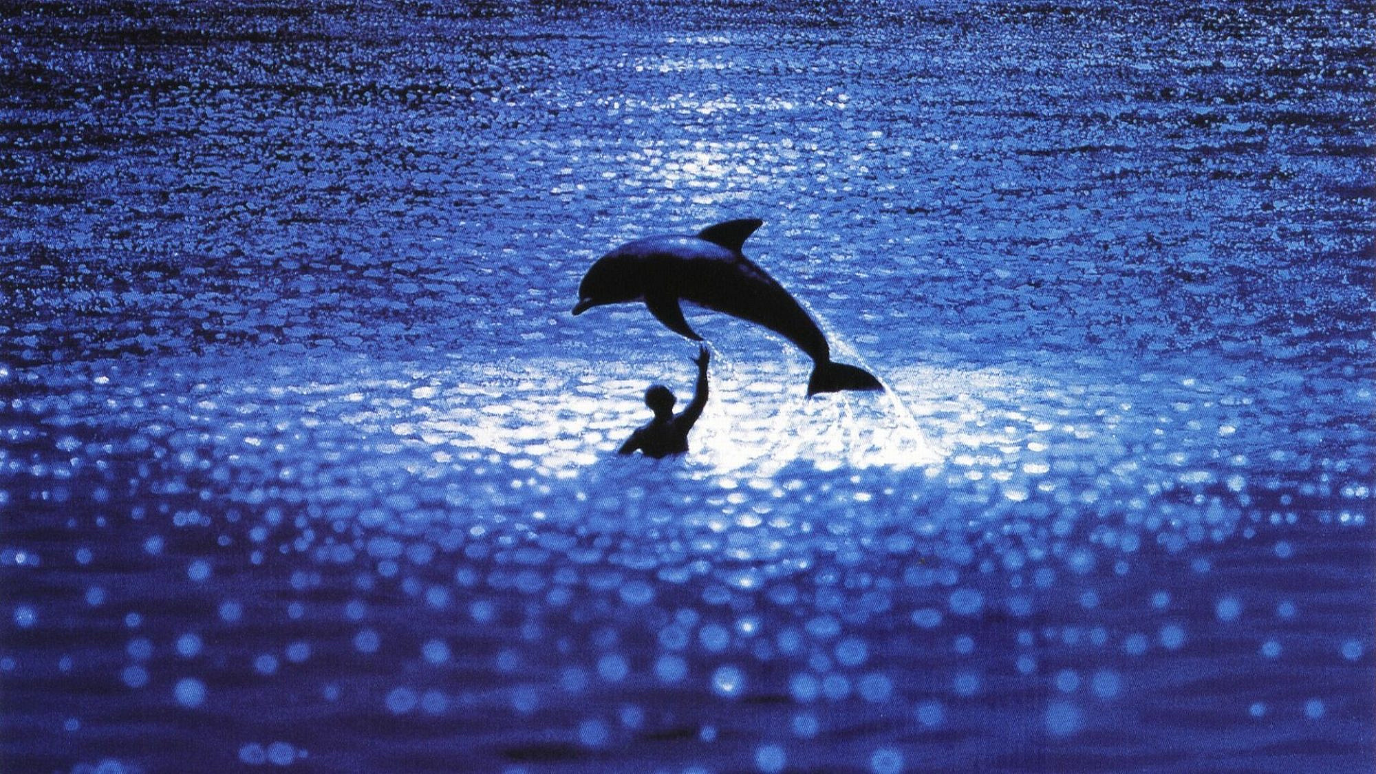 "הכחול הגדול", לוק בסון (צילום: יחסי ציבור)