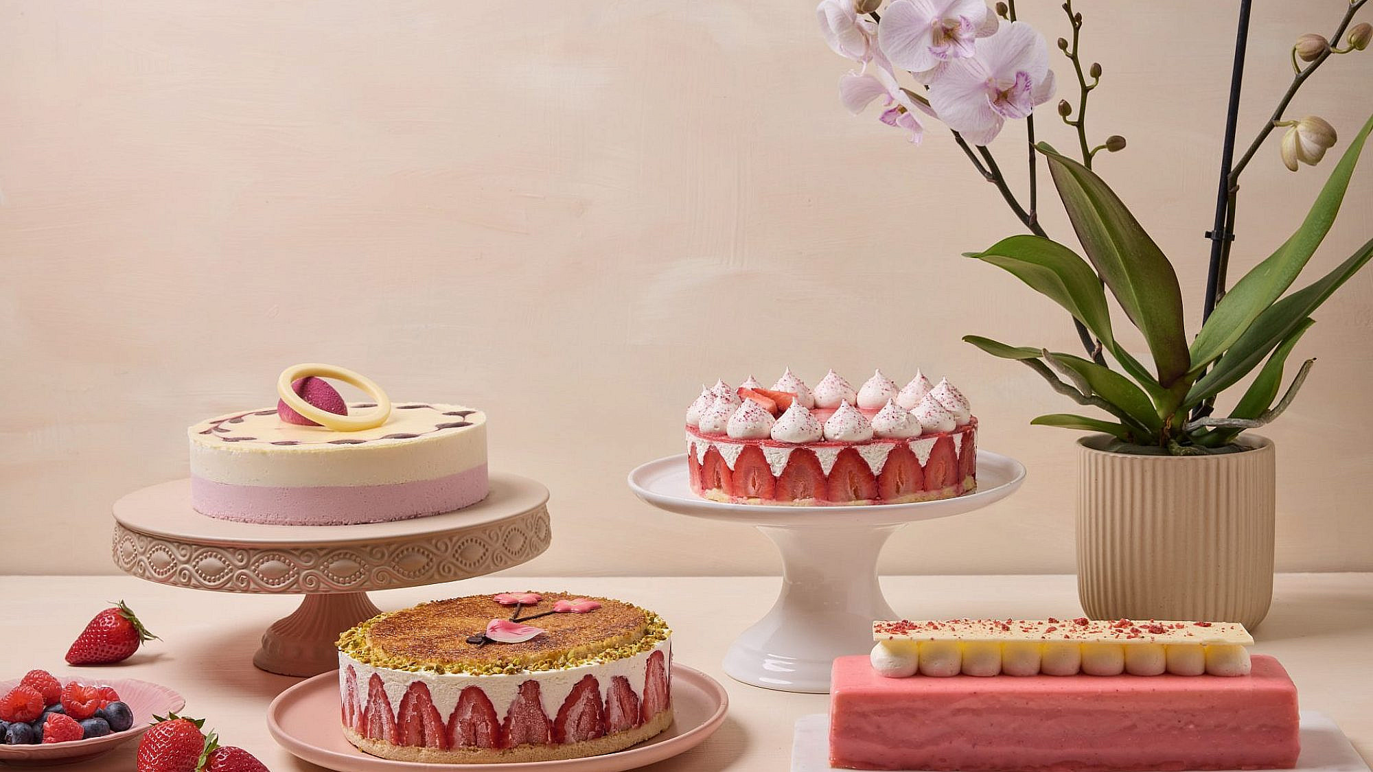 ורוד בעין, בבטן ובנשמה. עוגות לפסח של בוטיק סנטרל. (צילום: טל סיון ציפורין)