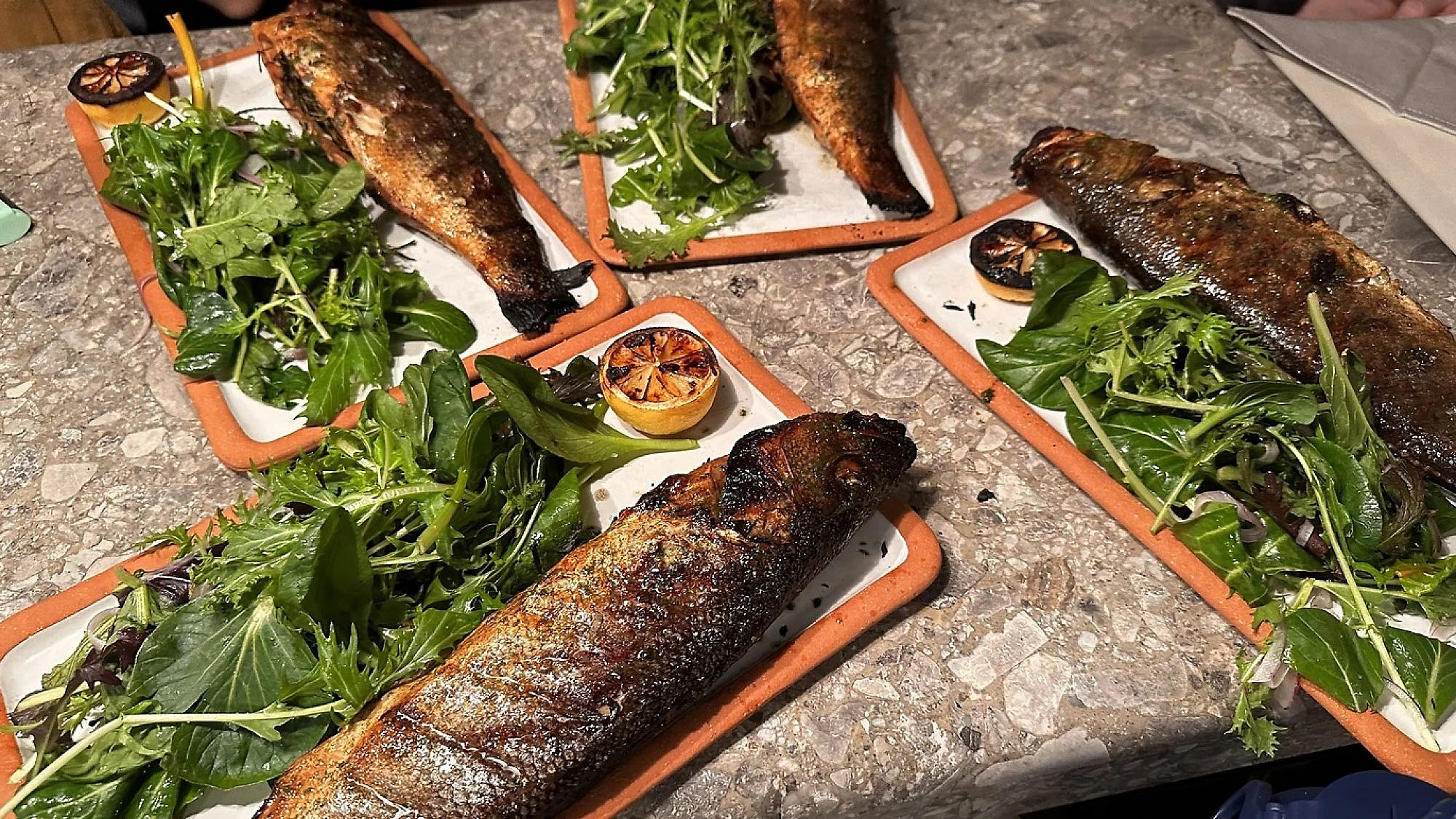 הדגים של תאודורה. צילום: באדיבות תומר בלכמן/Time Out.com