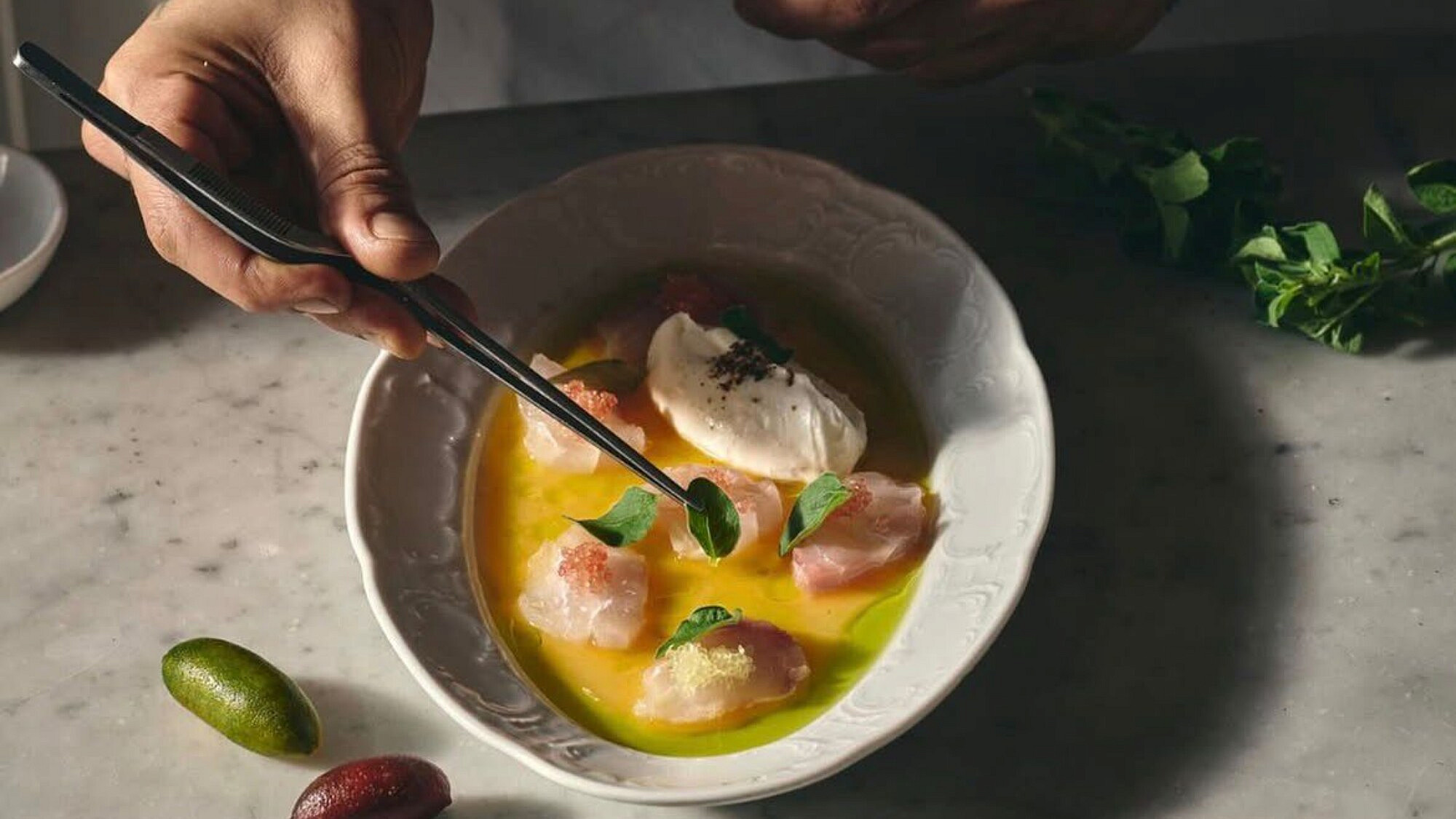 נרתמים לקרב. לונל. (צילום: דוד מויאל)