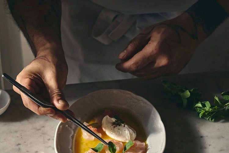 נרתמים לקרב. לונל. (צילום: דוד מויאל)