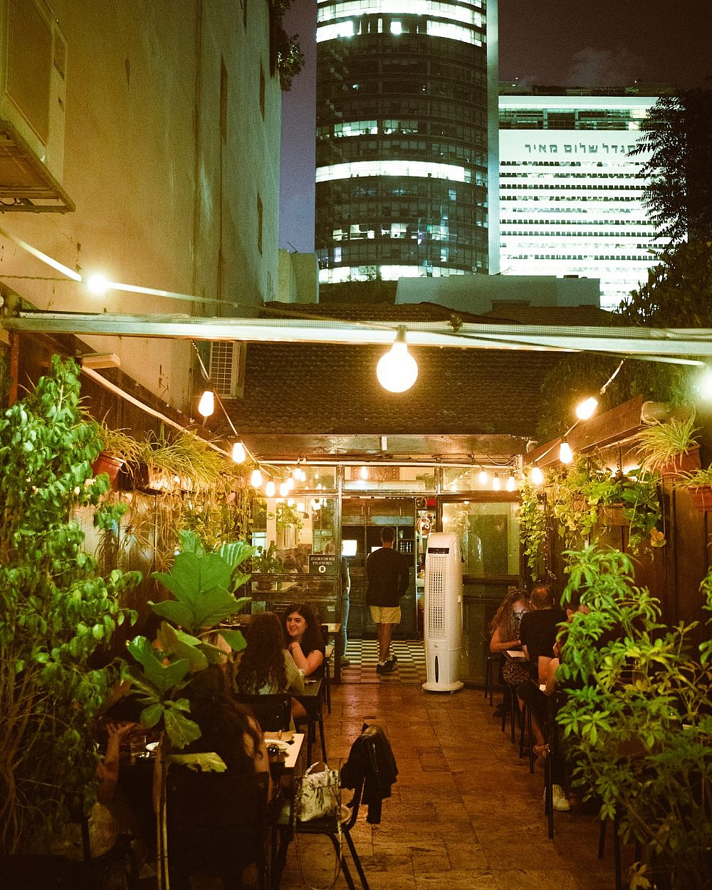 טבע עירוני בחצר. מטבח לילה (צילום יח"צ)